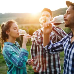Wine Tourists